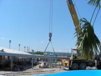 /album/fotogaleria/a10-jpg/